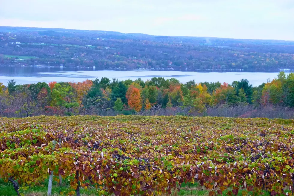 Upstate New York Ranks Among Hottest Housing Markets in America
