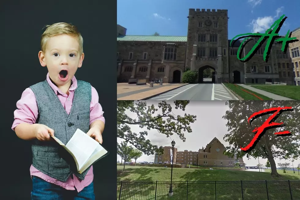 This Might Cause a Fight or Two: All Hudson Valley Colleges, Ranked