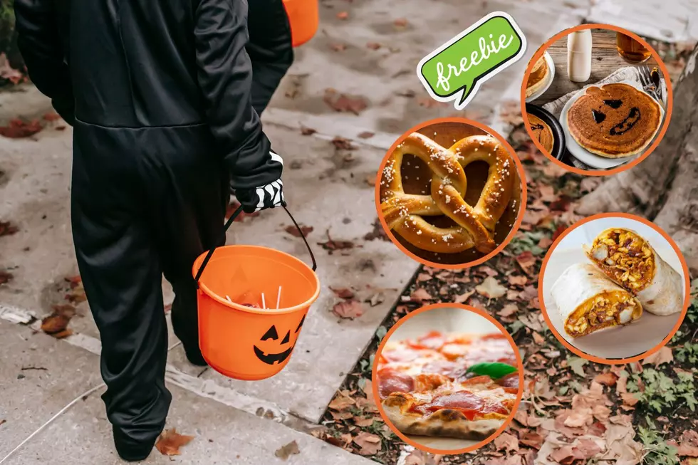 All Treats, No Tricks! Cash In On These Hudson Valley Halloween Freebies