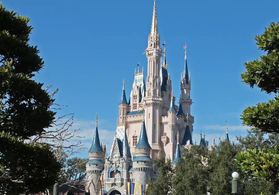 7 Hudson Valley Sites That Kinda Look Like Disney World