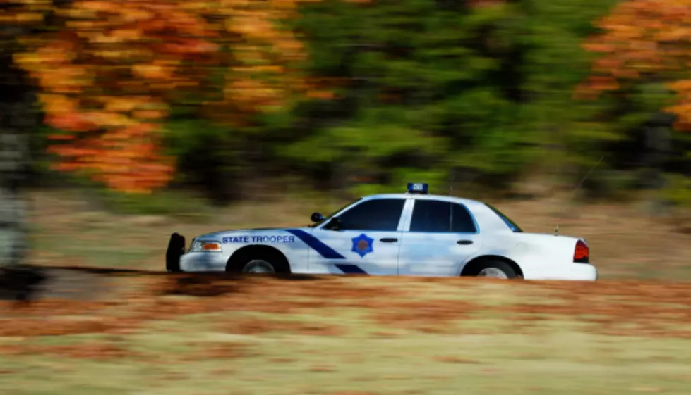 New Jersey Fugitive Arrested in Putnam County After Multi-County Chase