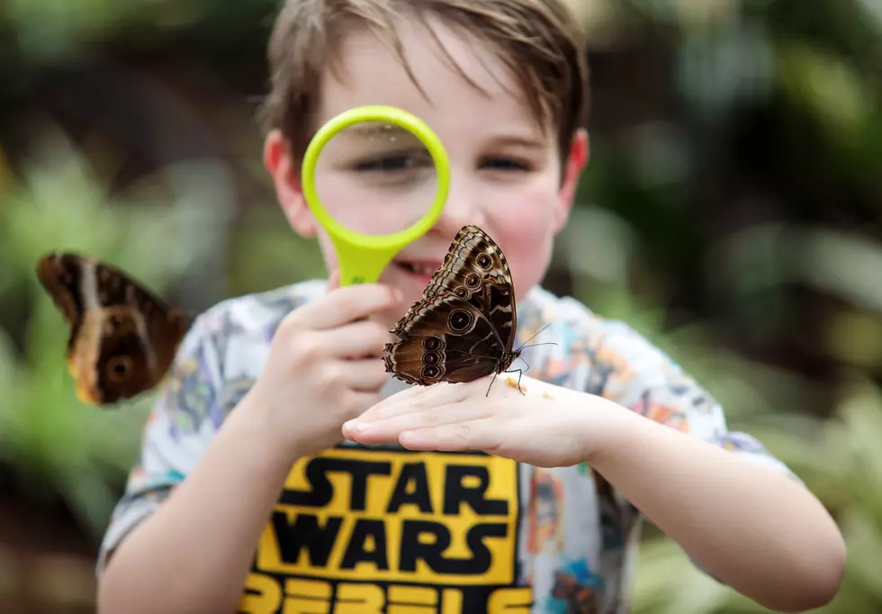HHNM Open House for Young Naturalist Preschool