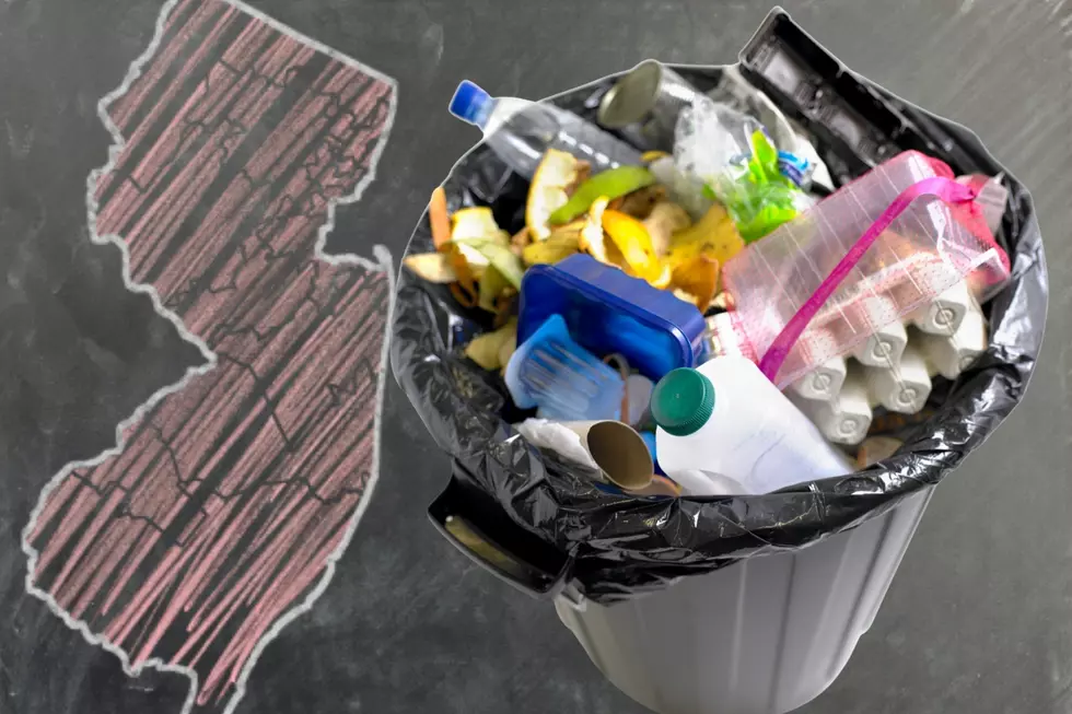 Hudson Valley Duo Accused of ‘Jersey Shore Garbage Can Scam’