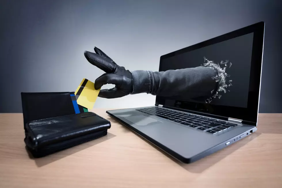 Just How Vulnerable Are Residents in New York State To Identity Theft?