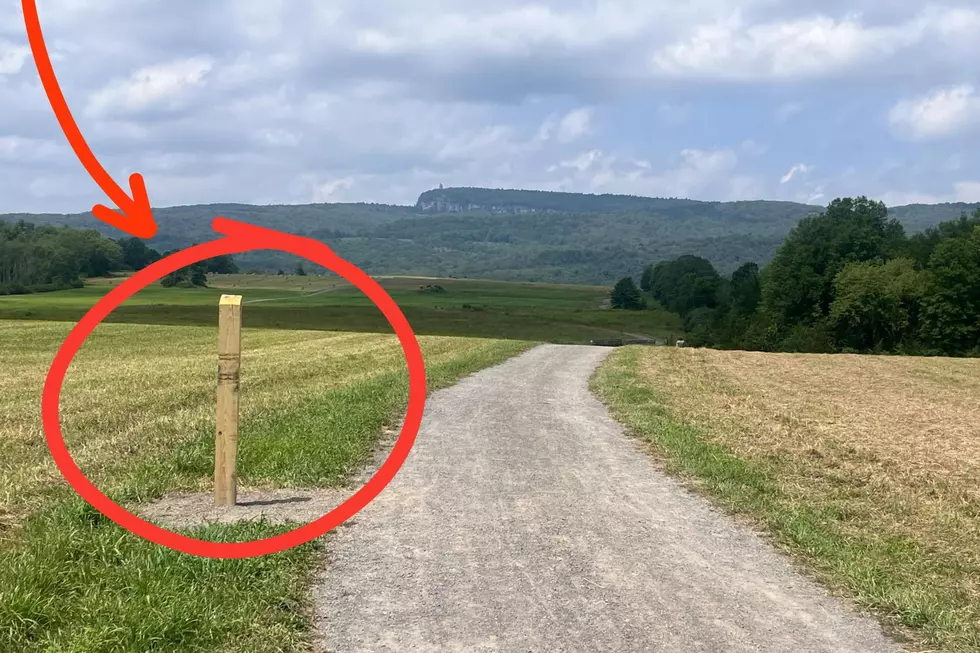 Popular New Paltz Trail Getting New Updates