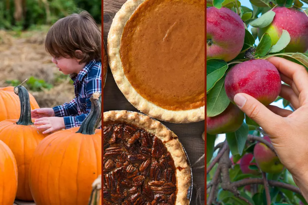 9 Terrific Hudson Valley Farm Stands to Support This Season