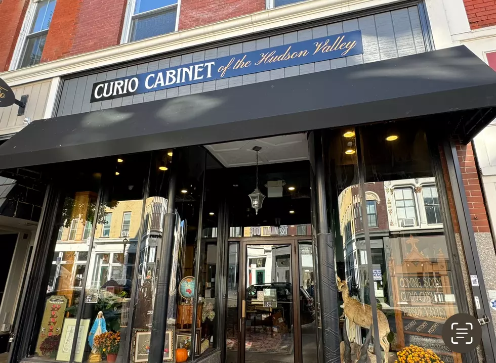 New Oddities Shop Opens in City Of Poughkeepsie