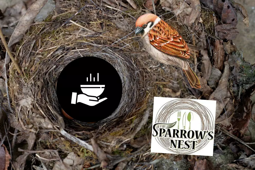 Sparrow’s Nest Charity: Providing Hope in Hopeless Situations
