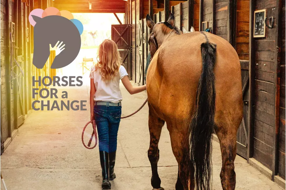 Therapeutic Horseback Riding For All: Horses For A Change Offering Inclusive Horseback Riding Programs