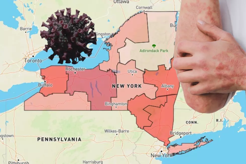 NY Officials Say Disease-Spreading Insect Set to Explode in 2025