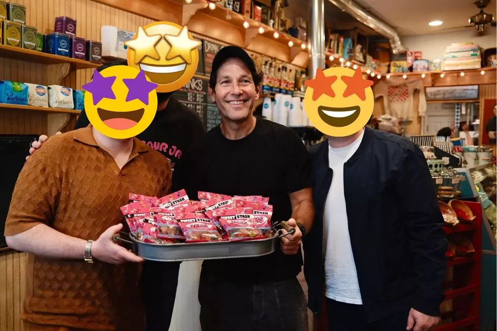 Three More Celebrities Team Up with Paul Rudd at Rhinebeck Candy Shop