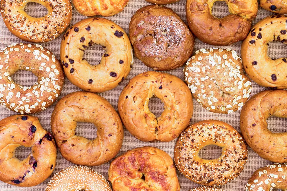 Battle of the Best 2026: Best Bagel in the Hudson Valley