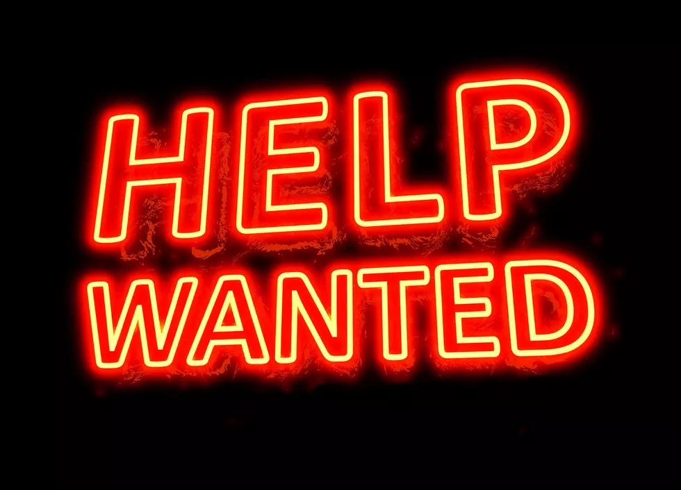 2 Good Jobs Are Available at Local Hudson Valley Food Bank
