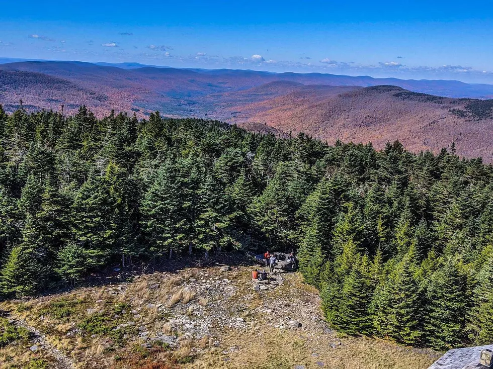 Hiker Falls 20 Feet From Tree near Hunter Mountain