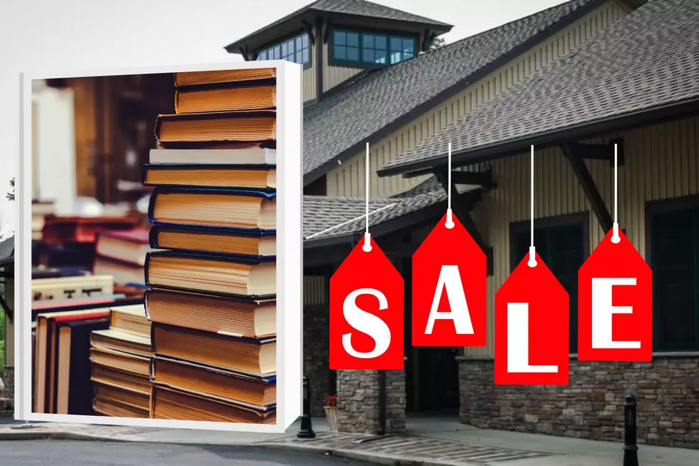 Annual Book Sale Schedule This Month in Gardiner New York