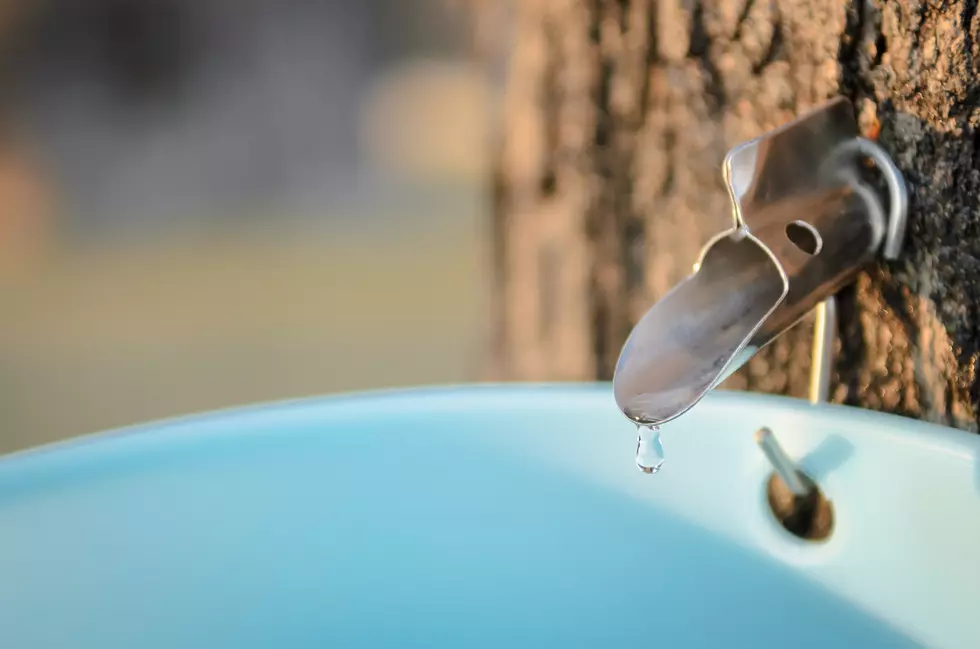 Tapped Out? Could Warm Winter Weather Affect NY Maple Season