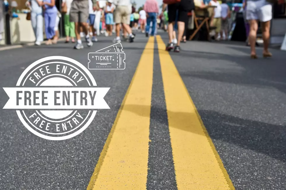 Sullivan County Fair Returns This Summer With Music, Shows & More